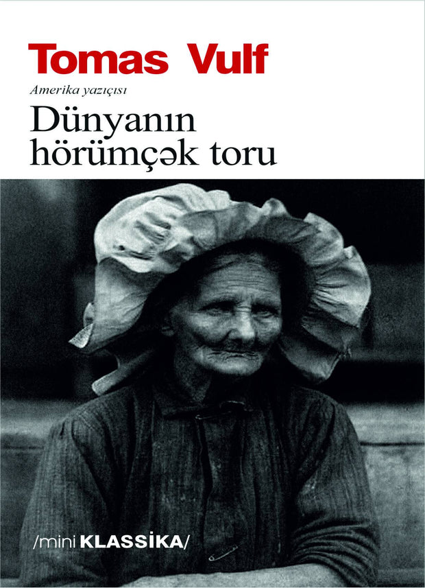 Dünyanın hörümçək toru - Tomas Vulf - SizinKitab