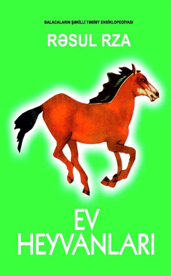 Ev heyvanları - Rəsul Rza - SizinKitab
